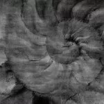 Art. 405 33 2101