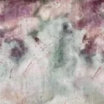 Cordis Art. 480 31 2102