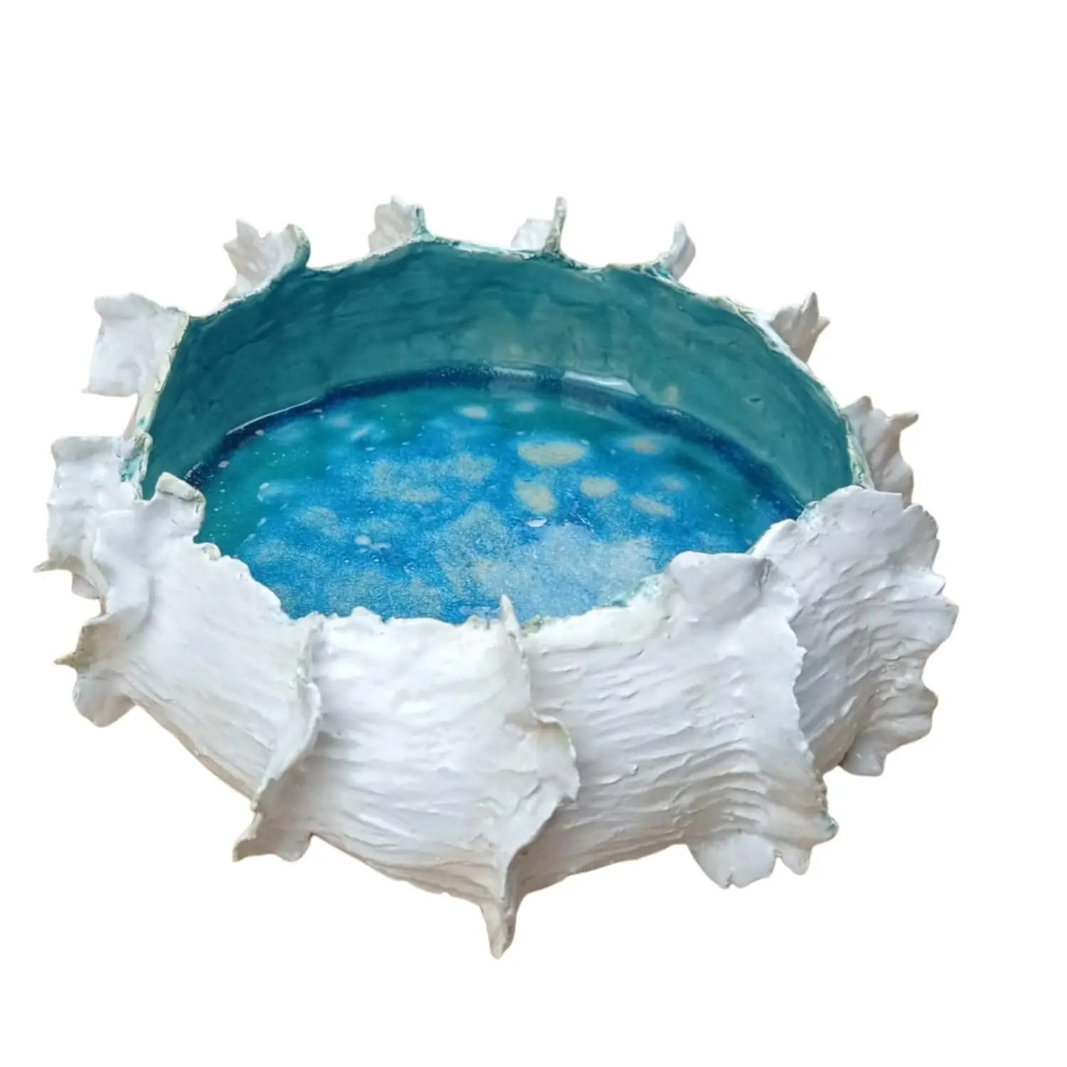 PATERA 2902