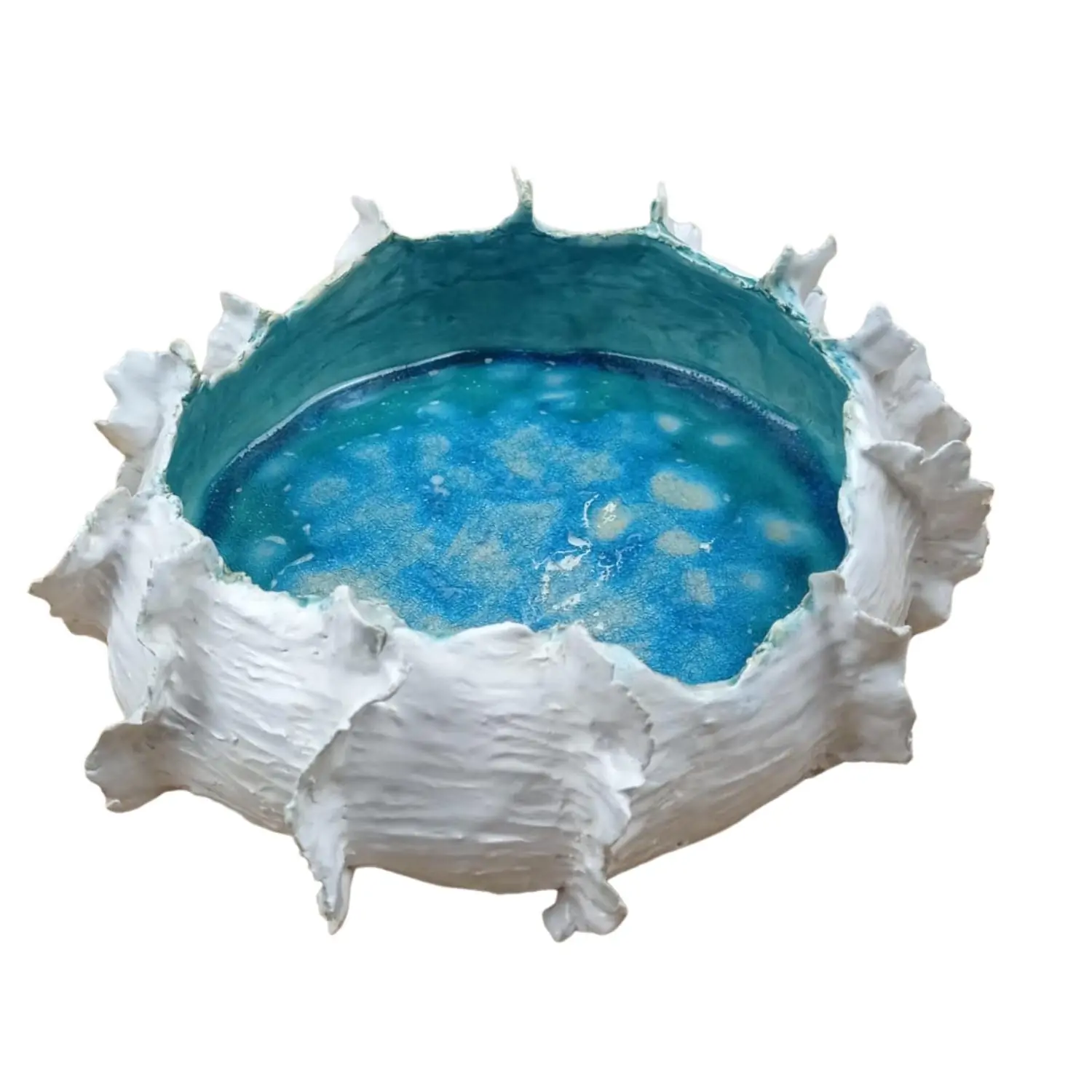 PATERA 2903