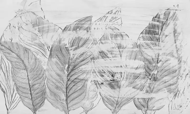 image_44fa7921-0124-4948-8578-a74b1d39696f_720x