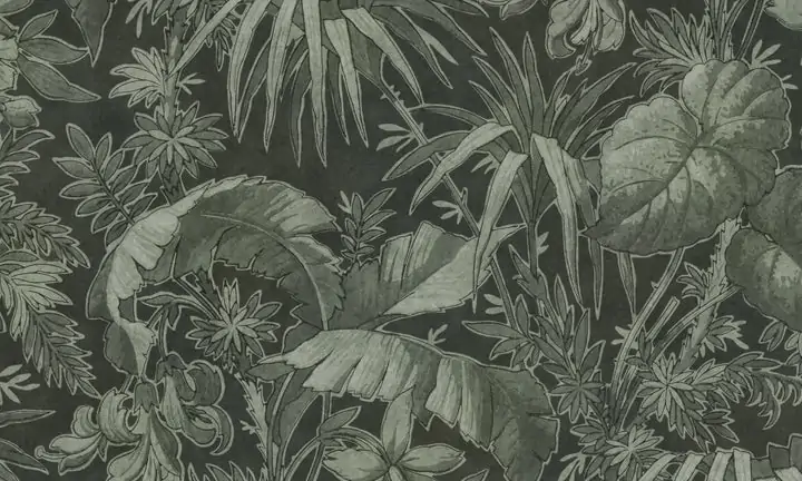 image_73520a53-da79-4df6-a69d-5cc9ea6a384f_720x