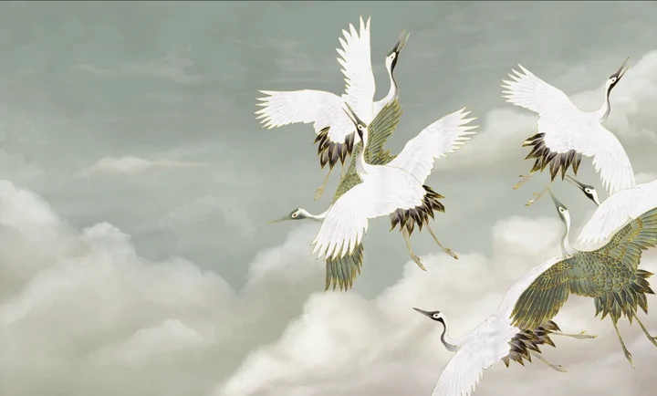 image_e4f65825-9ac6-4b29-bb72-c5252a44ae8b_720x