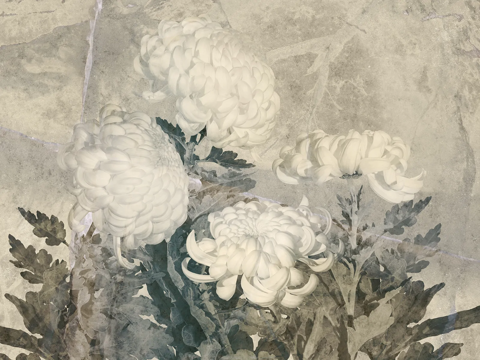 Floss Art. 580 31 2201