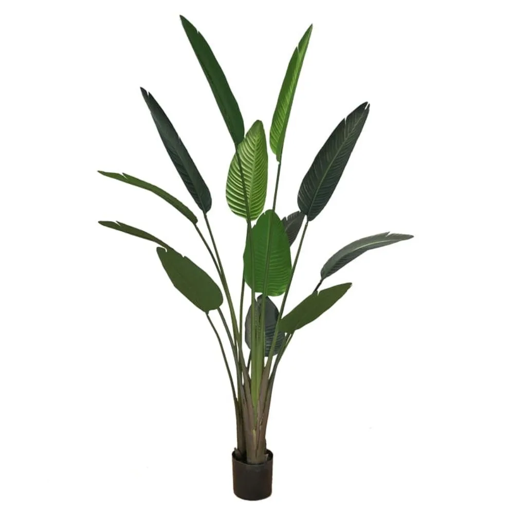 Sztuczna roślina doniczkowa Strelicja 220 cm