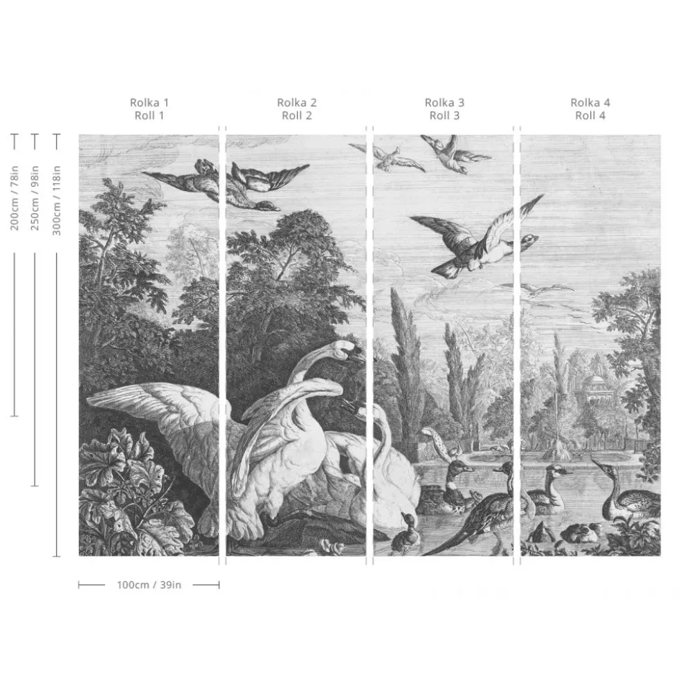 Tapeta Black Swans WALLCOLORS - obrazek 3
