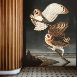 Tapeta Owls WALLCOLORS