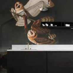 Tapeta Owls WALLCOLORS - obrazek 4