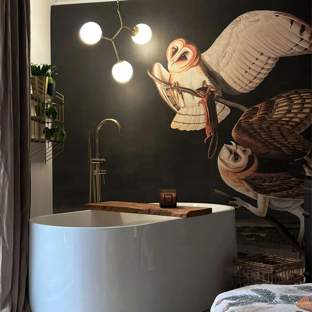 Tapeta Owls WALLCOLORS - obrazek 5