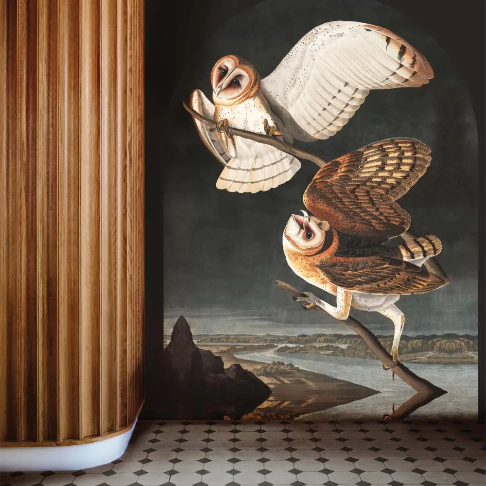 Tapeta Owls WALLCOLORS