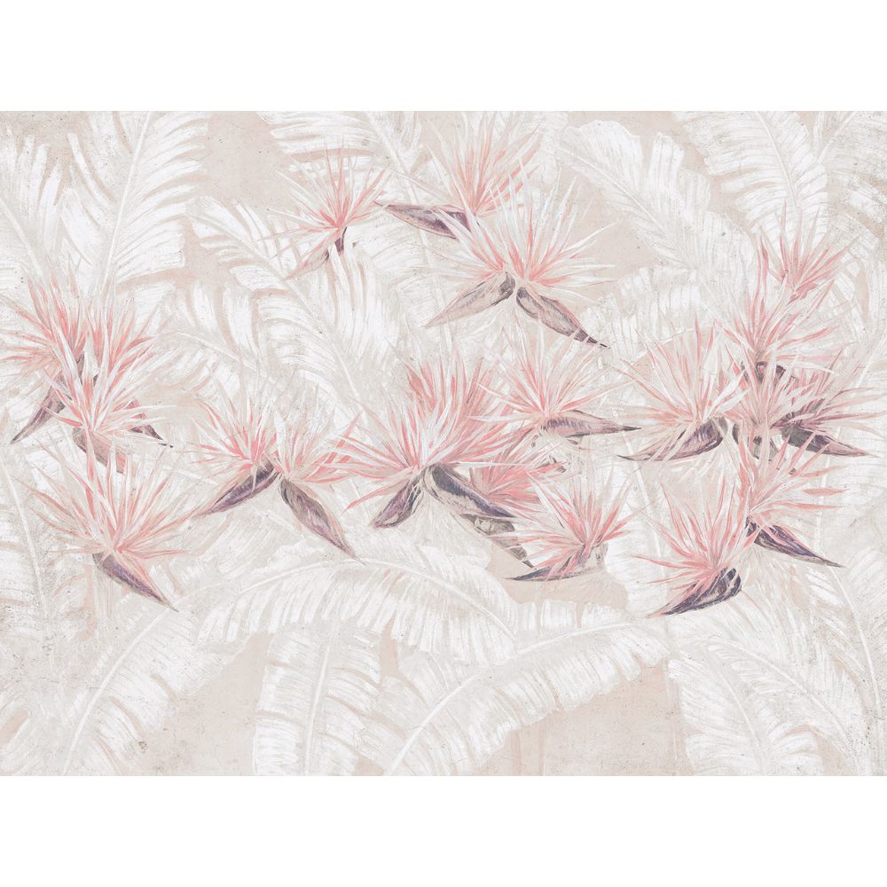 Palmira Art. 1115 31 2501