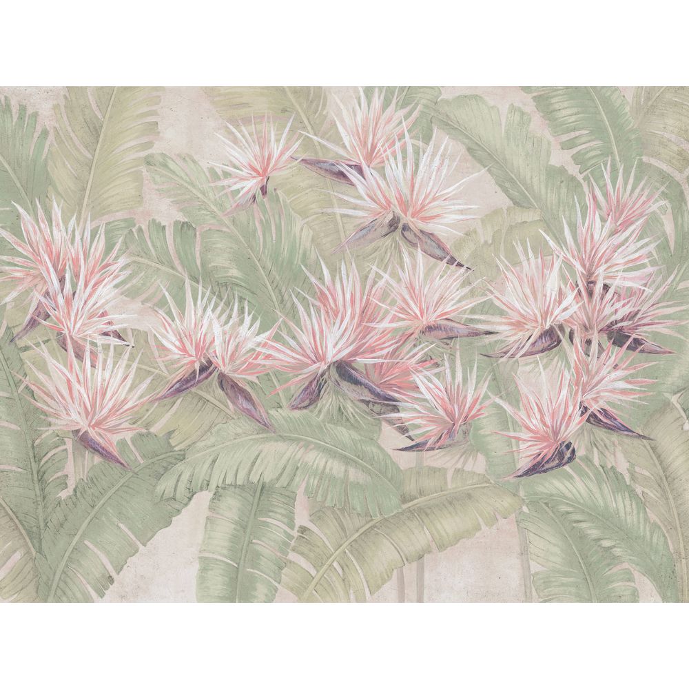 Palmira Art. 1115 33 2501